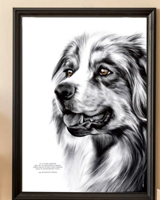Le Chien Berger – L’Amour