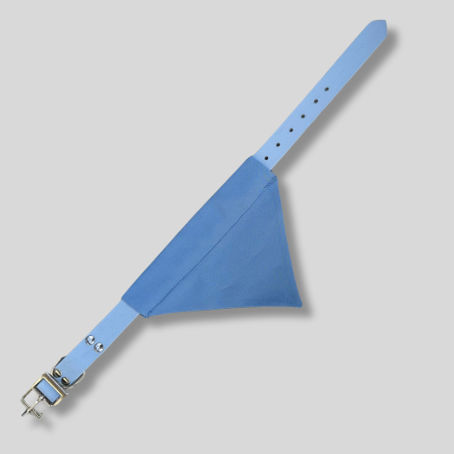Collier Biothane®️ pour chien avec bandana personnalisable Bleu