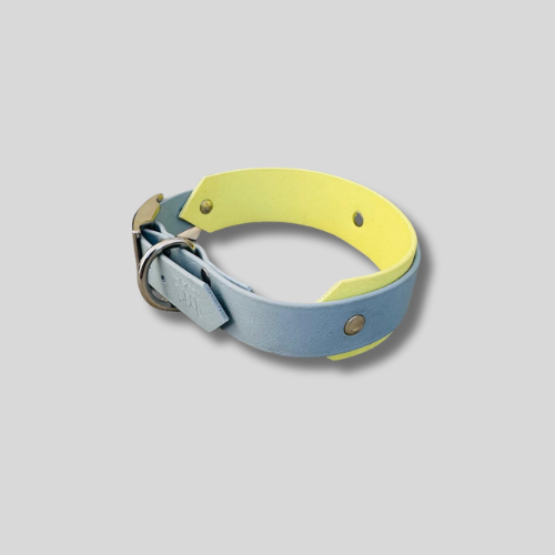 Collier Biothane®️ bilargeur(25/38mm) pour chien-40/46cm