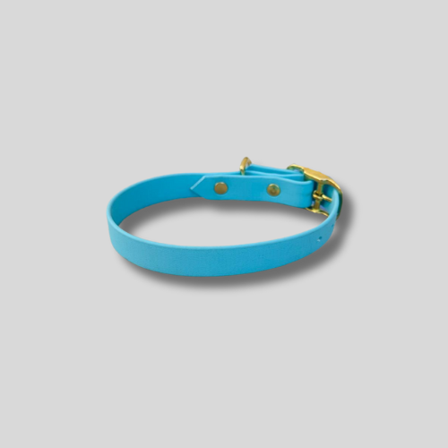 Collier simple en Biothane®️ 20mm pour chien- 30/36cm