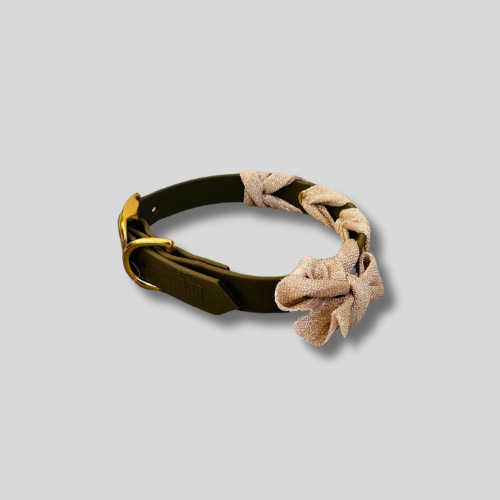 Collier Biothane®️ 20 mm tressée biais pailleté- 30/35cm
