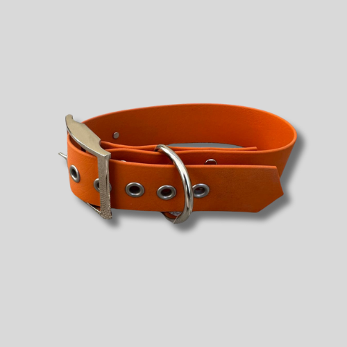 Collier Biothane®️ 38 mm – Skyline de Toulouse thermocollée-40/50cm