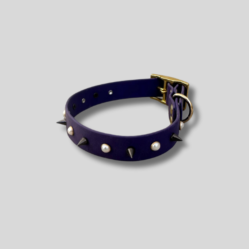 Collier Biothane®️ 25 mm – Perles & piques, 37/43cm