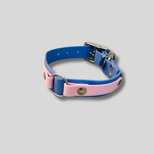 Collier Biothane®️ 25 mm – Bicolore avec anneau central décoratif, 30-40cm