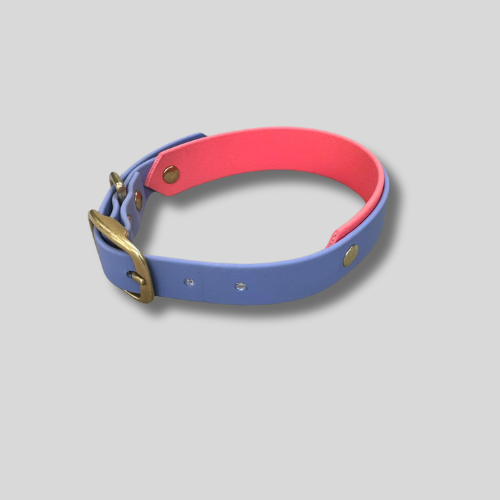Collier Biothane®️ personnalisable total bi-largeurs pour chien