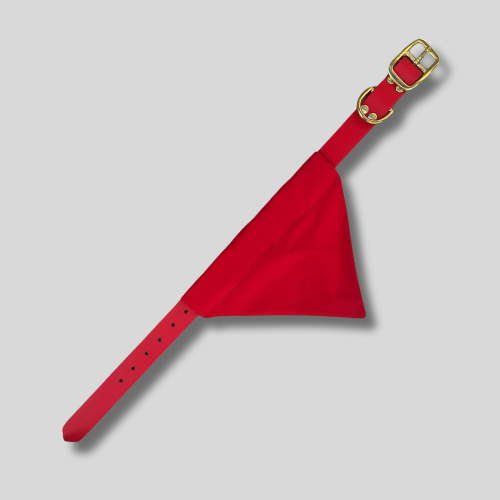 Collier Biothane®️ pour chien avec bandana personnalisable Rouge