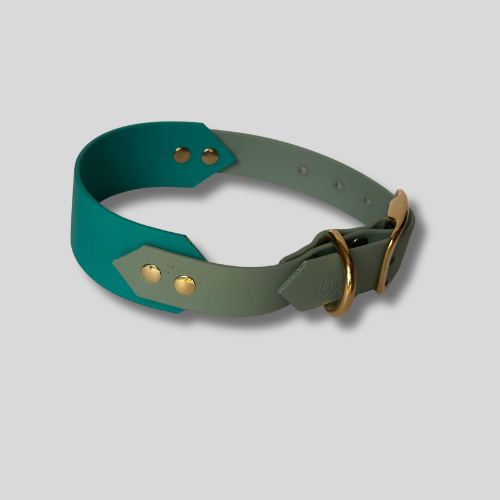 Collier Biothane®️ personnalisable bi-largeurs classique pour chien