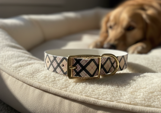 Collier Biothane®️ imprimé UV pour chien