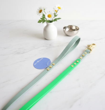 Laisse poignée Biothane 1,20M