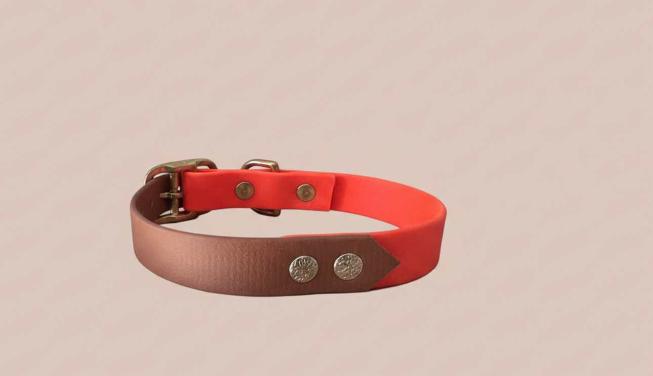 Collier Biothane Bicolore taille 30/40cm