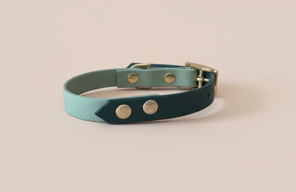 Collier Biothane Bicolore taille 25/35cm