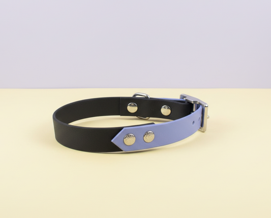 Collier Biothane Bicolore taille 30/40cm