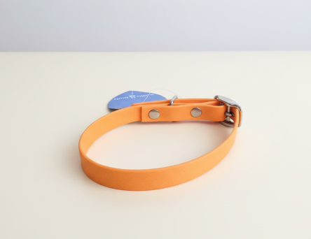 Collier Biothane taille 30/40cm