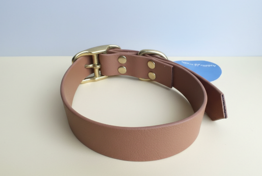 Collier Biothane taille 35/45cm