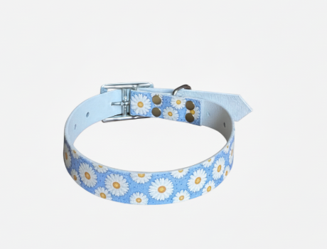 Collier Biothane uv taille  30/40cm