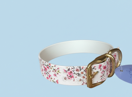 Collier Biothane uv taille  30/40cm