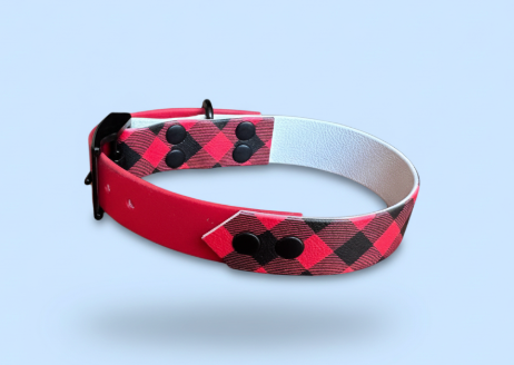 Collier Biothane Bicolore taille 30/40