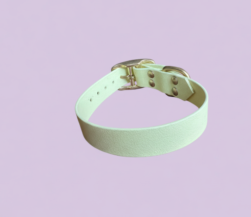 Collier Biothane taille  30/40cm