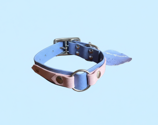 Collier Biothane  boucle taille  30/40cm