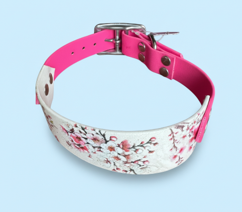 Collier Biothane Bi-Largeur  uv taille 35/45