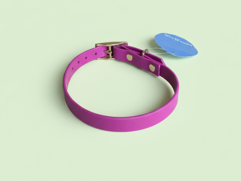 Collier Biothane taille 30/40cm