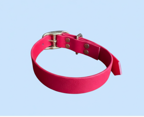Collier Biothane taille  35/45cm