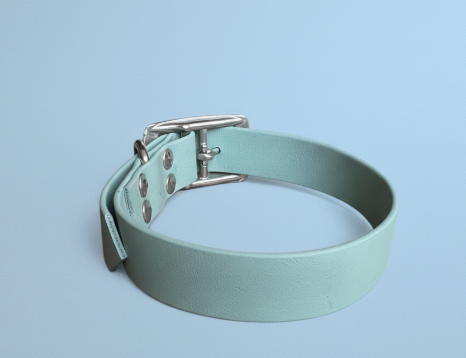 Collier Biothane taille  35/45cm