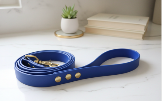 Laisse simple Biothane 1,20M