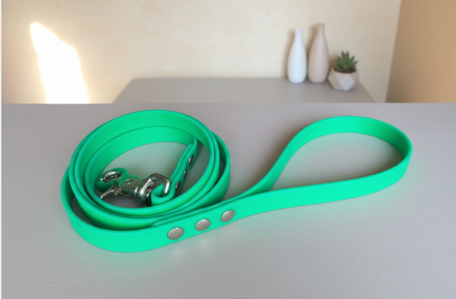 Laisse simple Biothane 1,20M