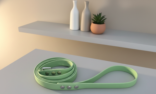 Laisse simple Biothane 1,20M