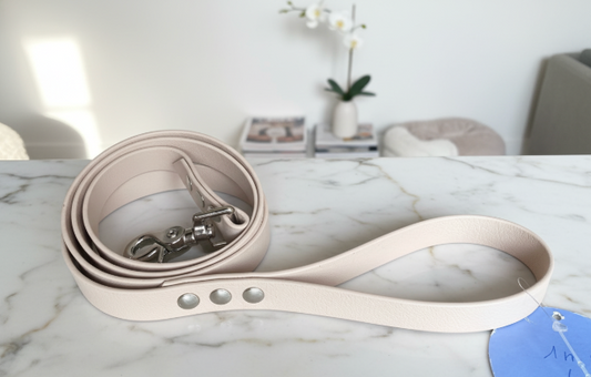 Laisse simple Biothane 1,20M