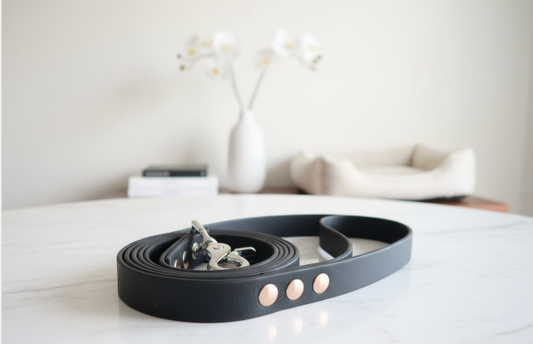 Laisse simple Biothane 1,50m