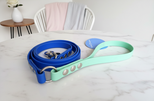 Laisse bicolore Biothane 1,20m