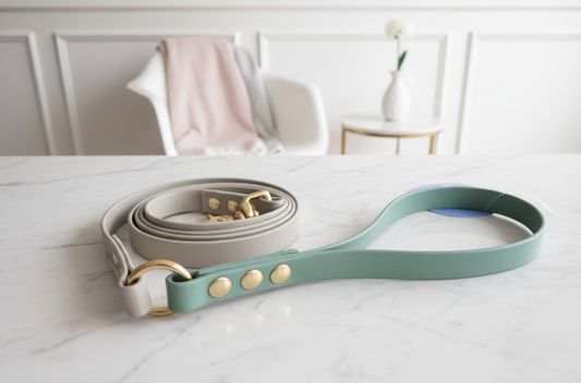 Laisse bicolore Biothane 1,40m