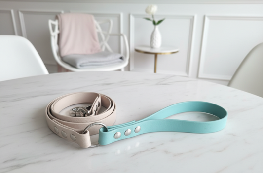 Laisse bicolore Biothane 1,20m