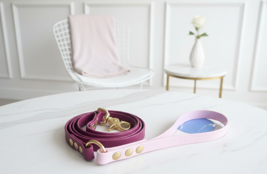 Laisse bicolore Biothane 1,20M