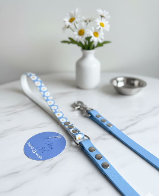 Laisse bicolore Biothane 1,20m