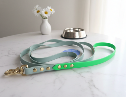 Laisse poignée Biothane 1,20M