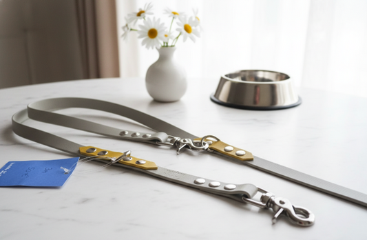 Laisse Multiposition Biothane 3M