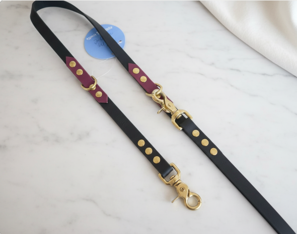 Laisse Multiposition Biothane 3M