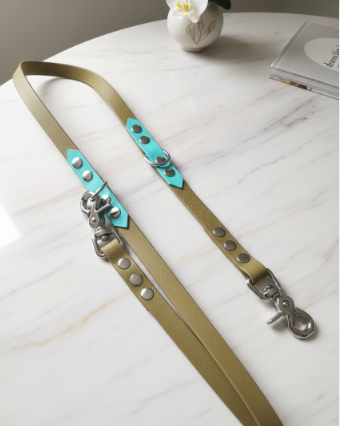 Laisse Multiposition Biothane 2,50M