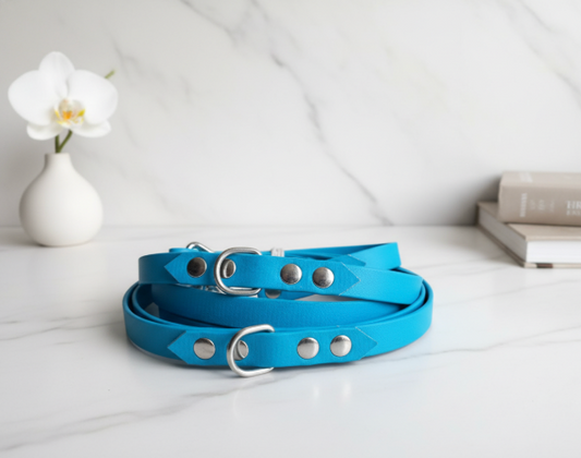 Laisse Multiposition Biothane 2,50M