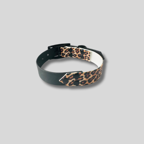 Collier Biothane®️ bicolore avec impression UV pour chien