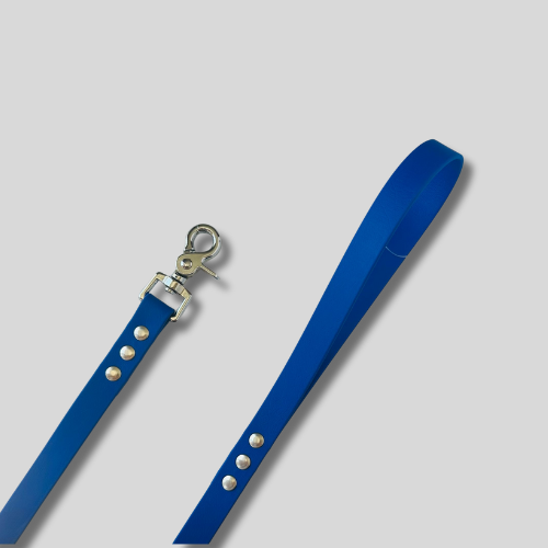 Laisse Biothane®️ simple pour chien 1,20M