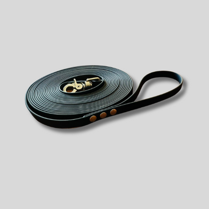 Longe pour chien en TPU 13mm