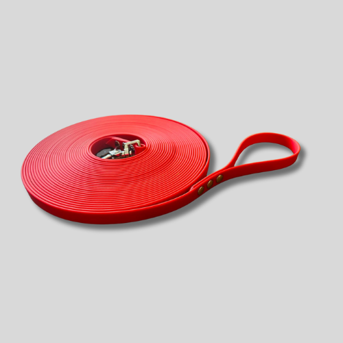 Longe pour chien en TPU 16mm