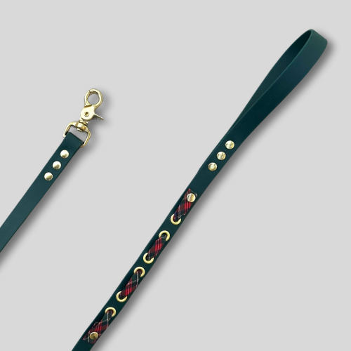 Laisse Biothane®️ vert foncé avec rappel tissu