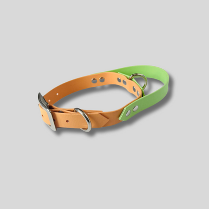 Collier Biothane®️ avec poignée intégrée personnalisable pour chien