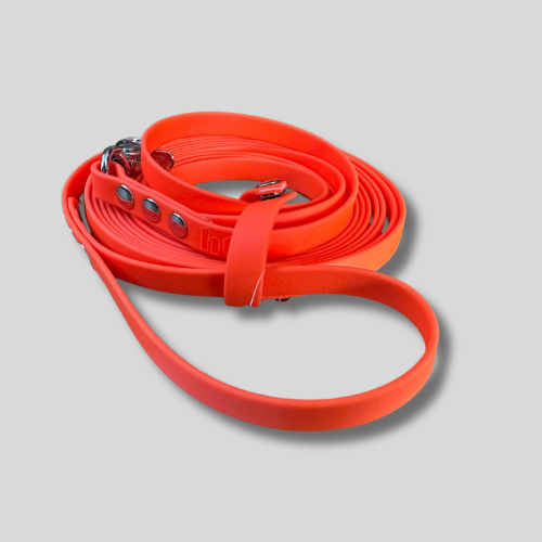 Longe pour chien en TPU 19mm