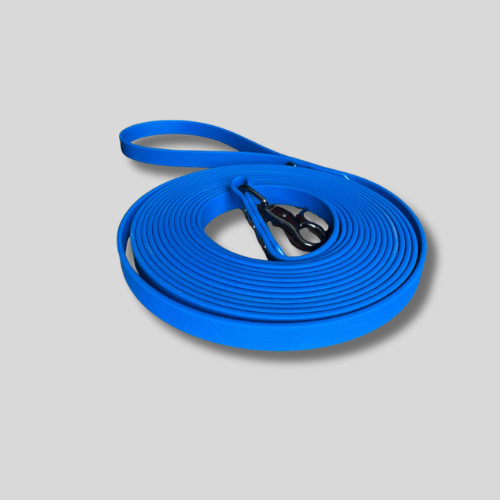 Longe pour chien en TPU 13mm